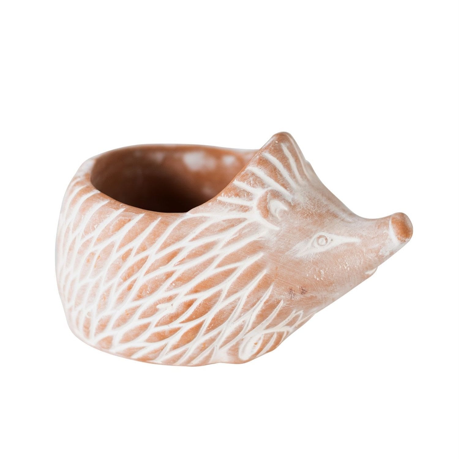 Hedgehog ceramic planter used as a charming outdoor garden decor piece