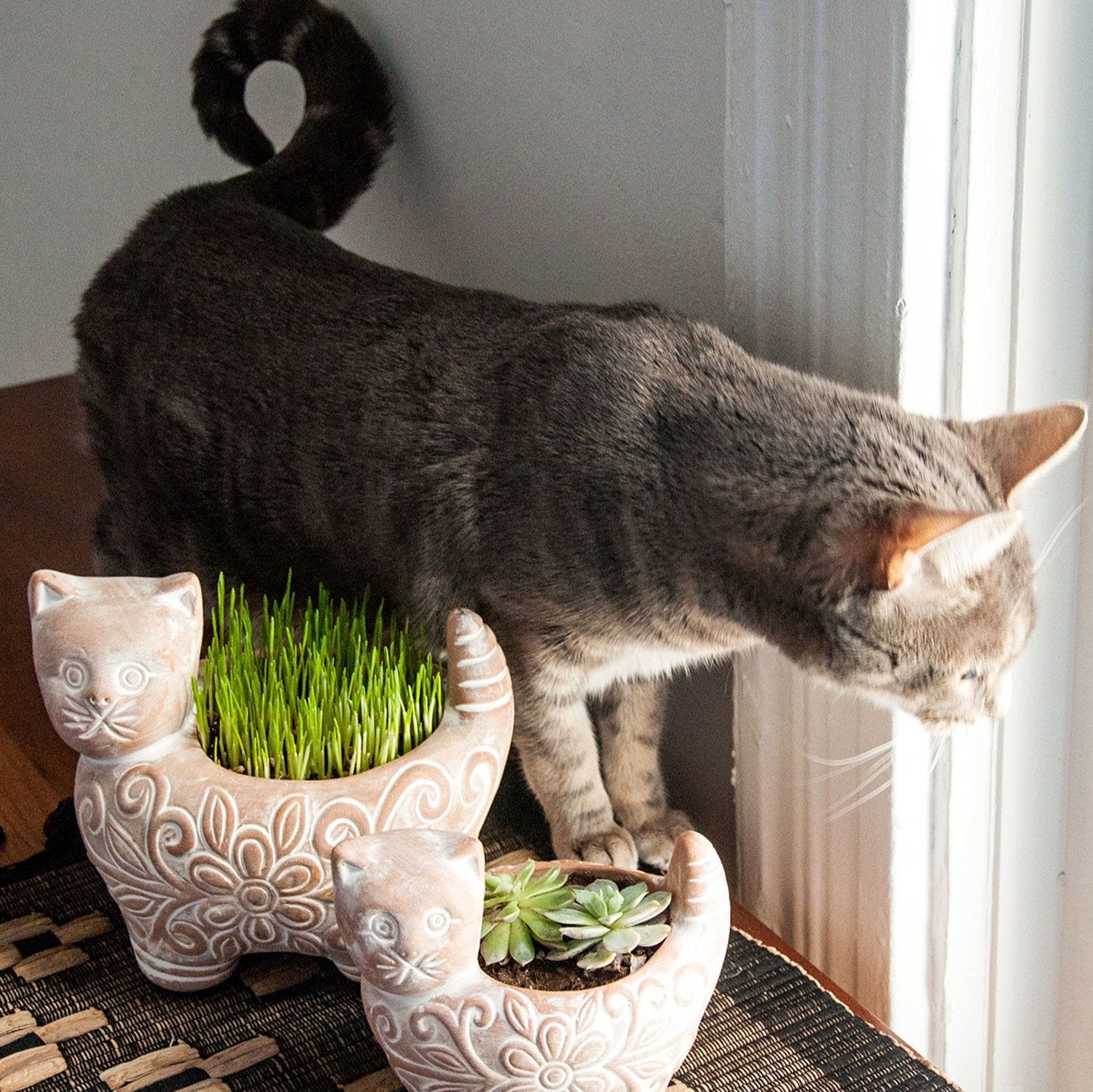 Whimsical catnip ceramic planter showcasing its elegant design and texture.