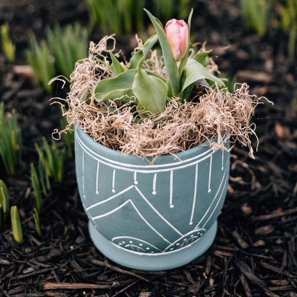 Handcrafted terracotta planter filled with vibrant herbs on a sunny windowsill.