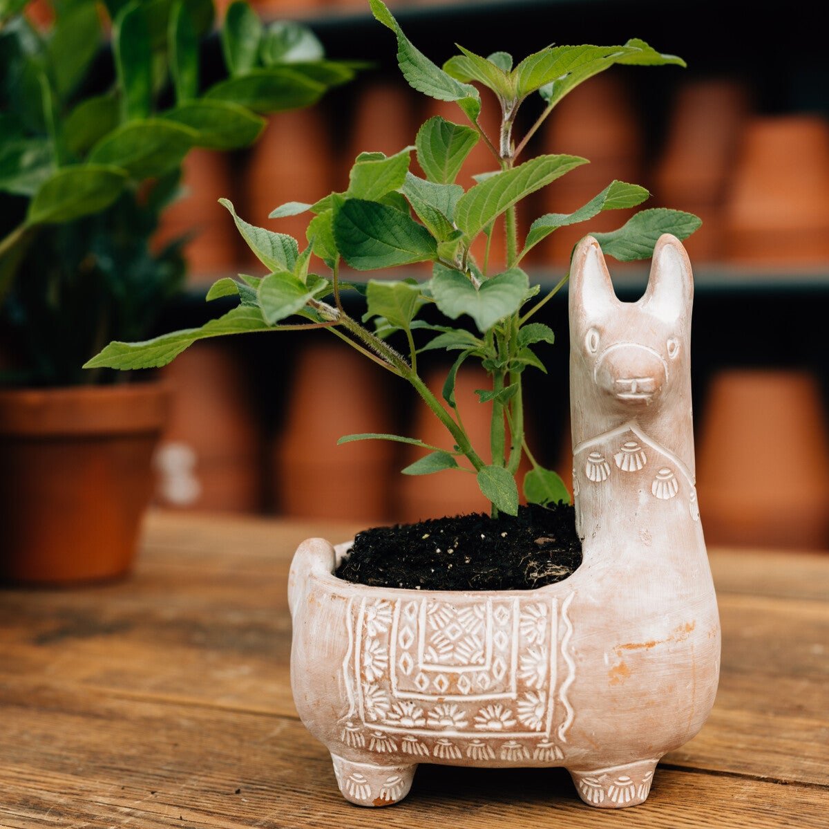 Side angle of decorative planter showing detailed artisan craftsmanship and texture