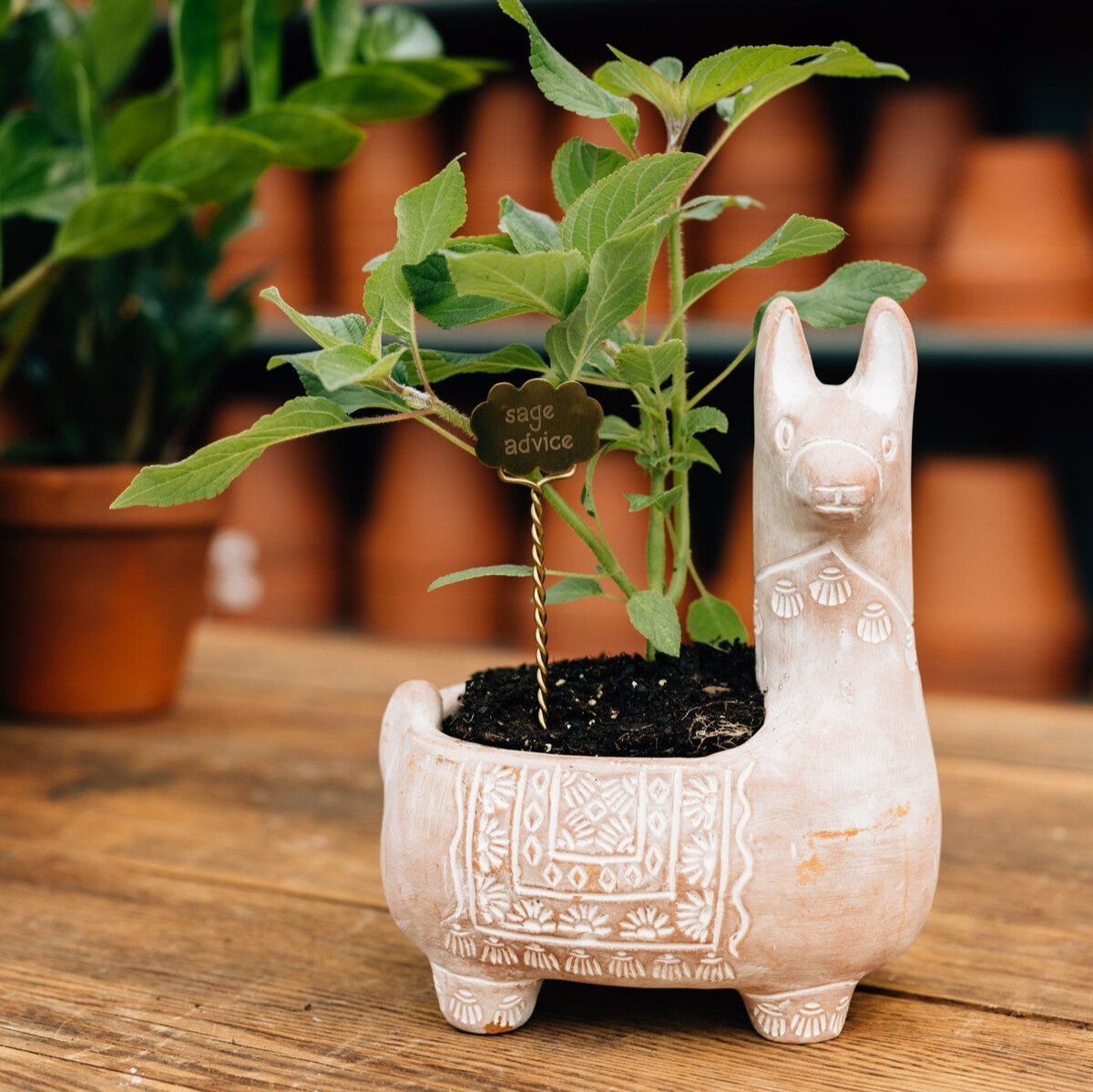 Llama terracotta planter placed on a patio table with bright annuals for outdoor decor