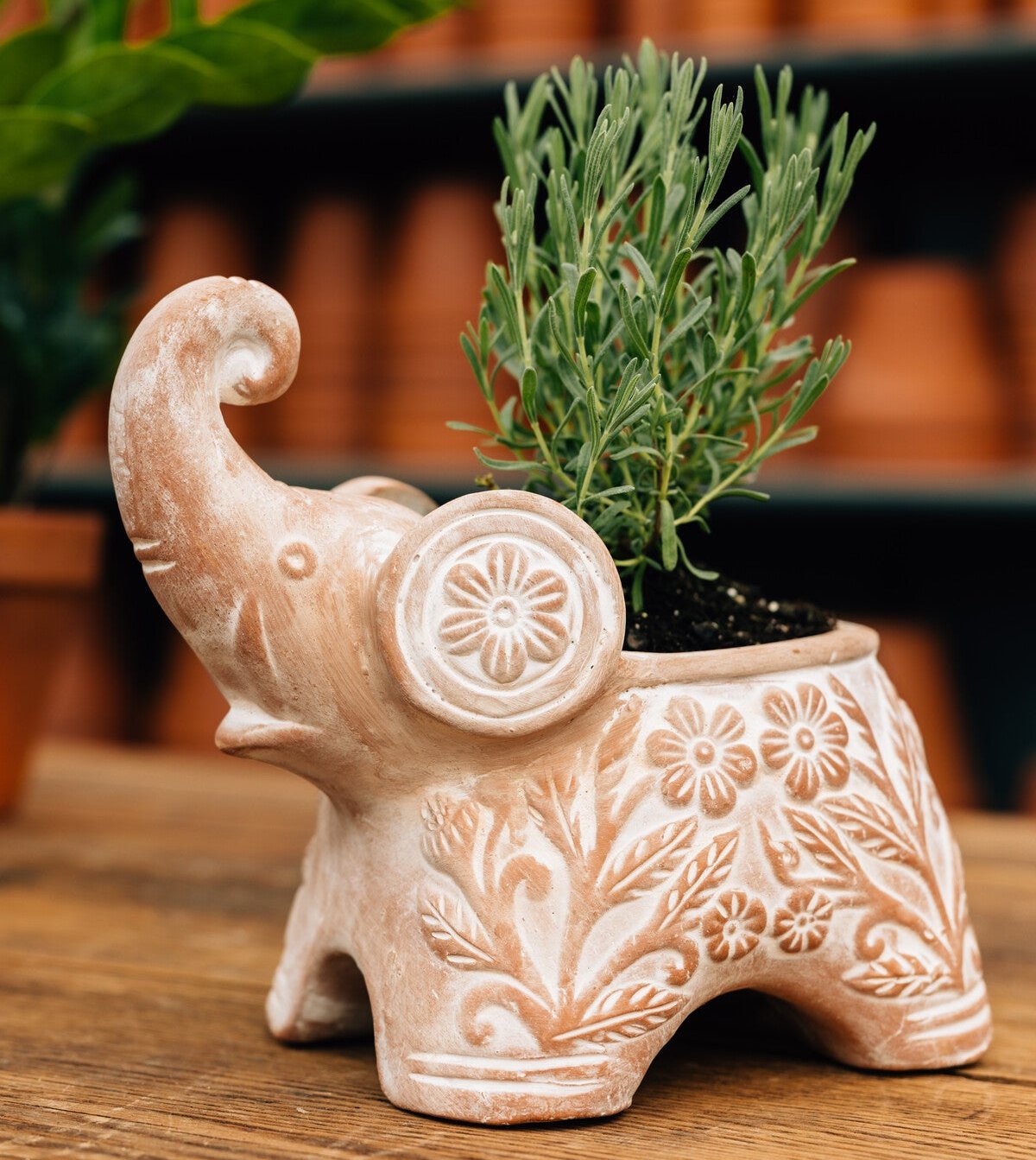 Close-up view of the Trumpeting Elephant Planter showcasing its intricate terracotta details.