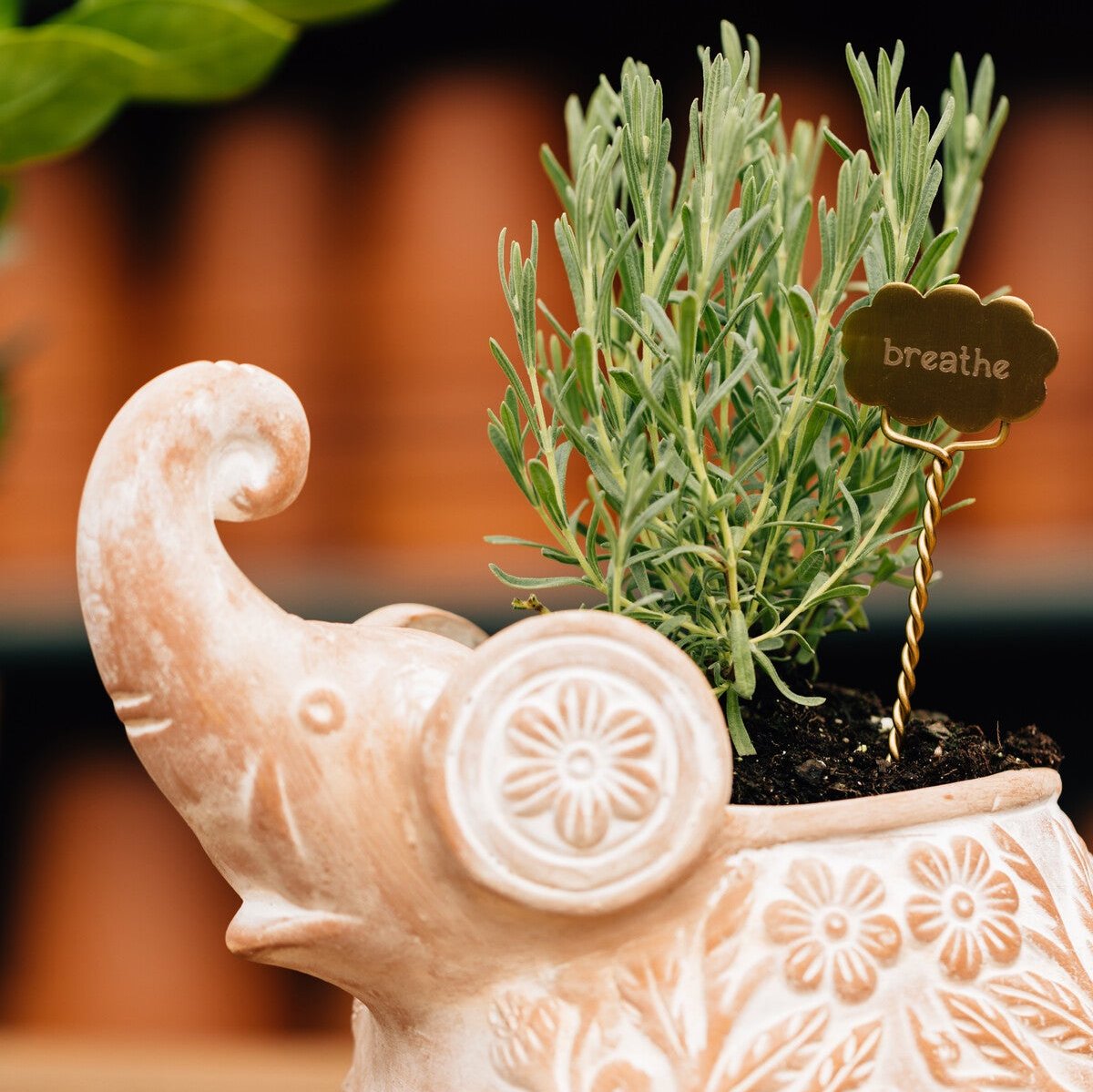 Decorative garden markers arranged in a garden bed for herbs and flowers