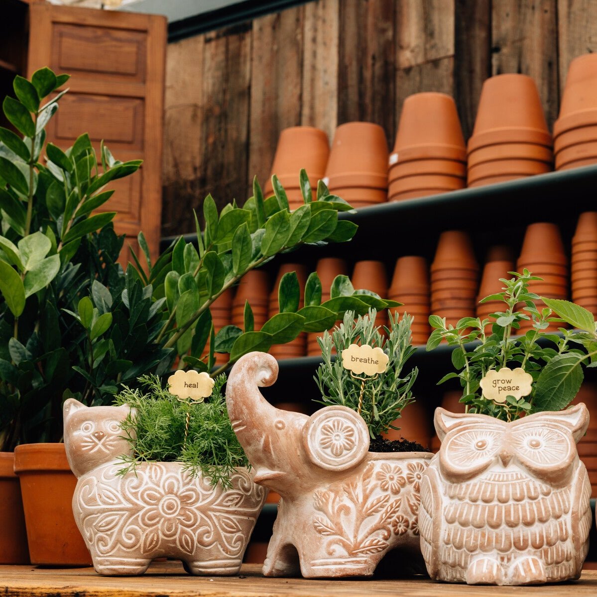 Decorative garden markers arranged in a garden bed for herbs and flowers