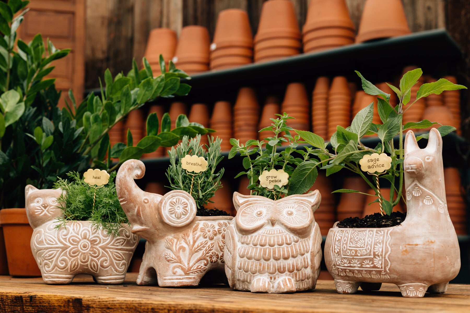 Close-up view of the Trumpeting Elephant Planter showcasing its intricate terracotta details.