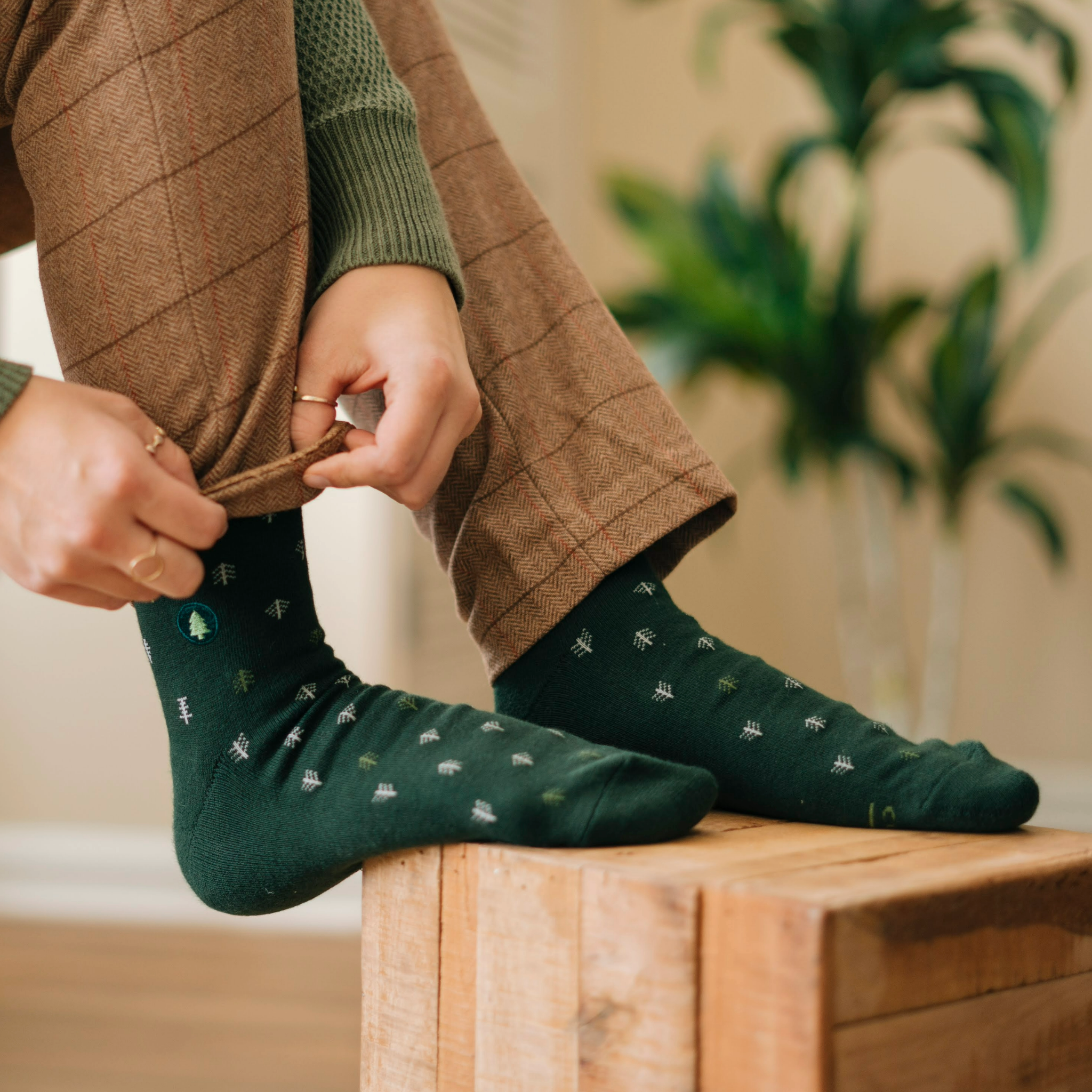 Dark green eco-friendly socks with tree embroidery, perfect for nature lovers.