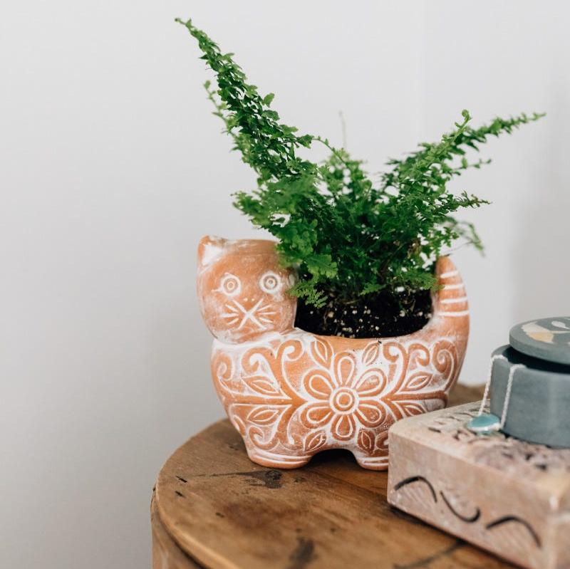 Outdoor garden setup featuring a whimsical ceramic planter for cats.