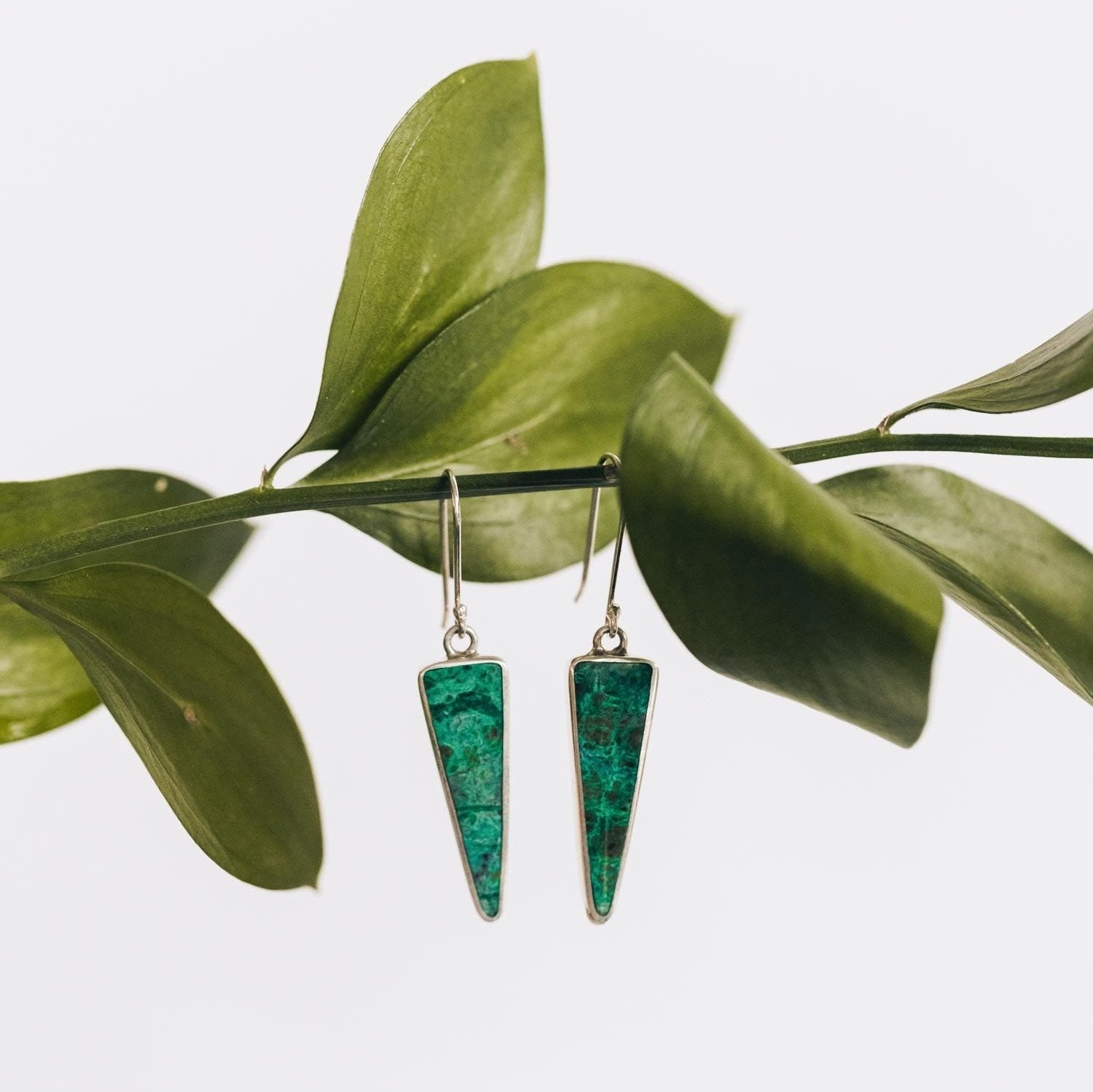 Teal chrysocolla drop earrings hanging on a display with natural lighting.