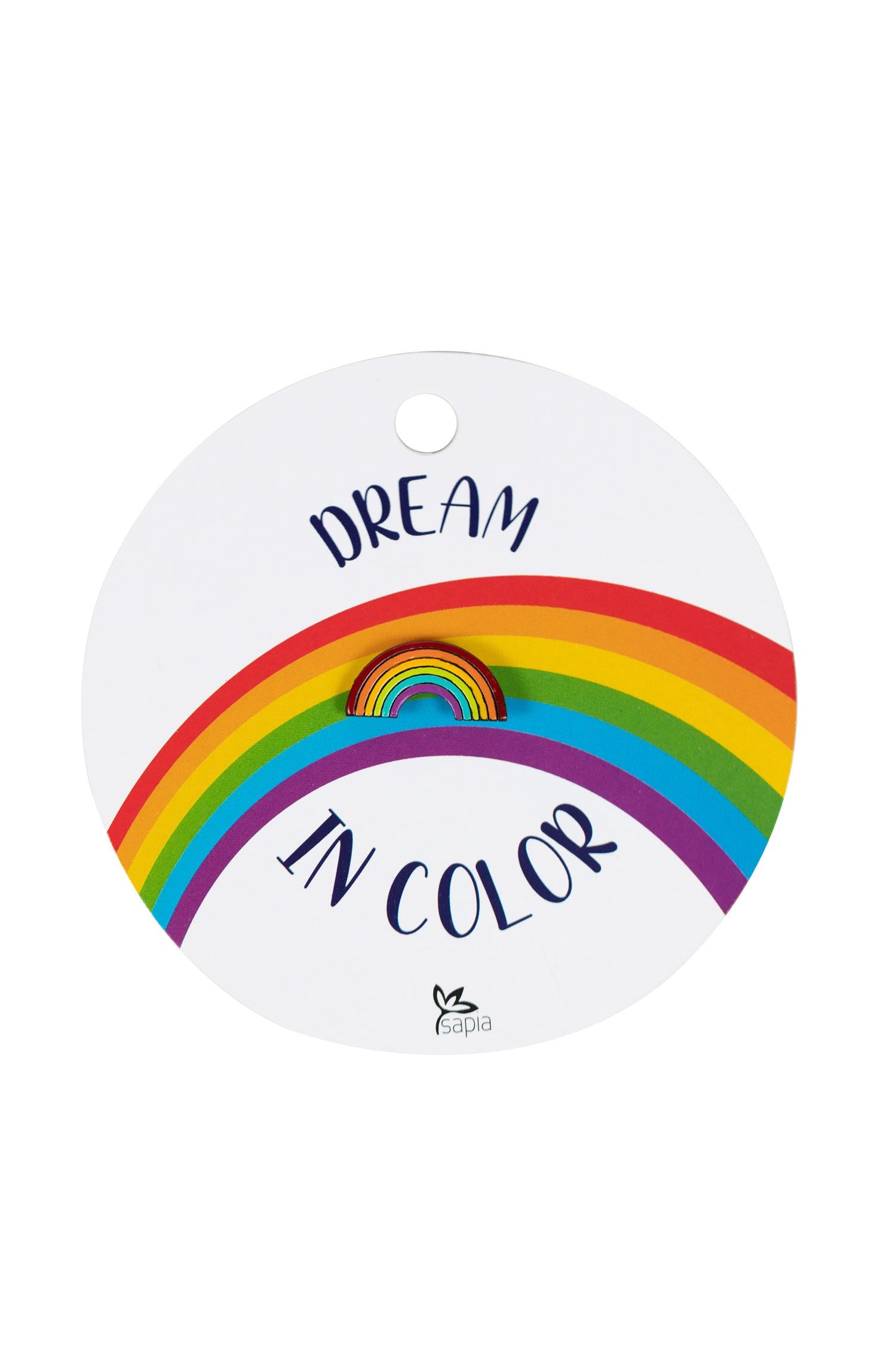 Close-up of hand-painted gourd pin showing bright rainbow design and butterfly tie tack backing