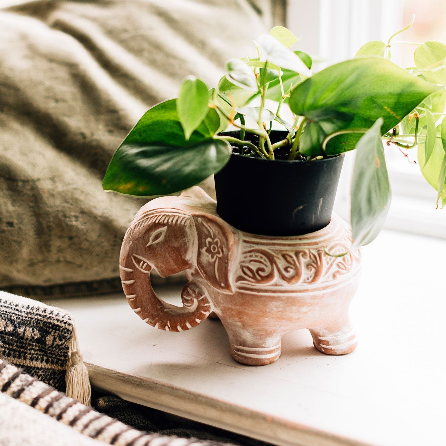 Elegant elephant planter highlighting its unique terracotta craftsmanship from multiple angles.