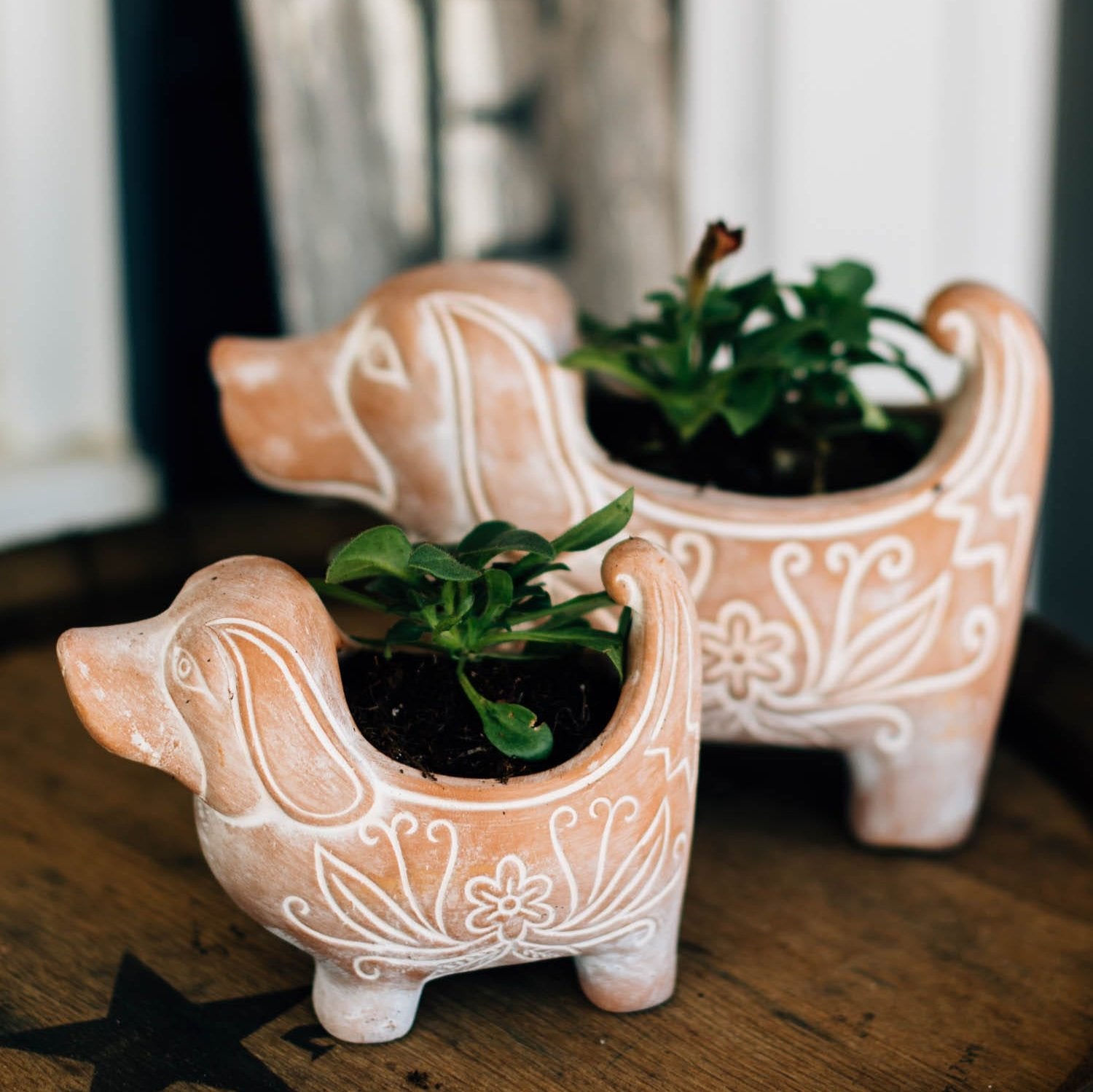 Front view of handcrafted terracotta dog planter with greenery