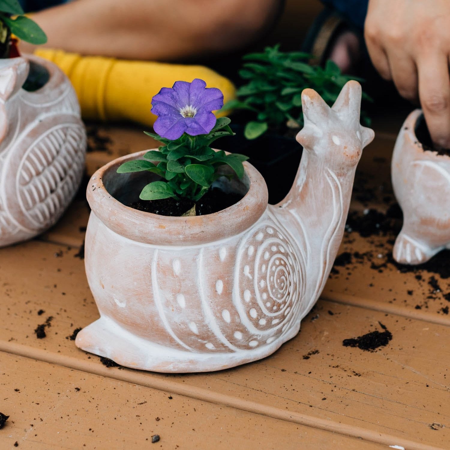 Handcrafted terracotta snail planter with natural white-washed finish for home decor