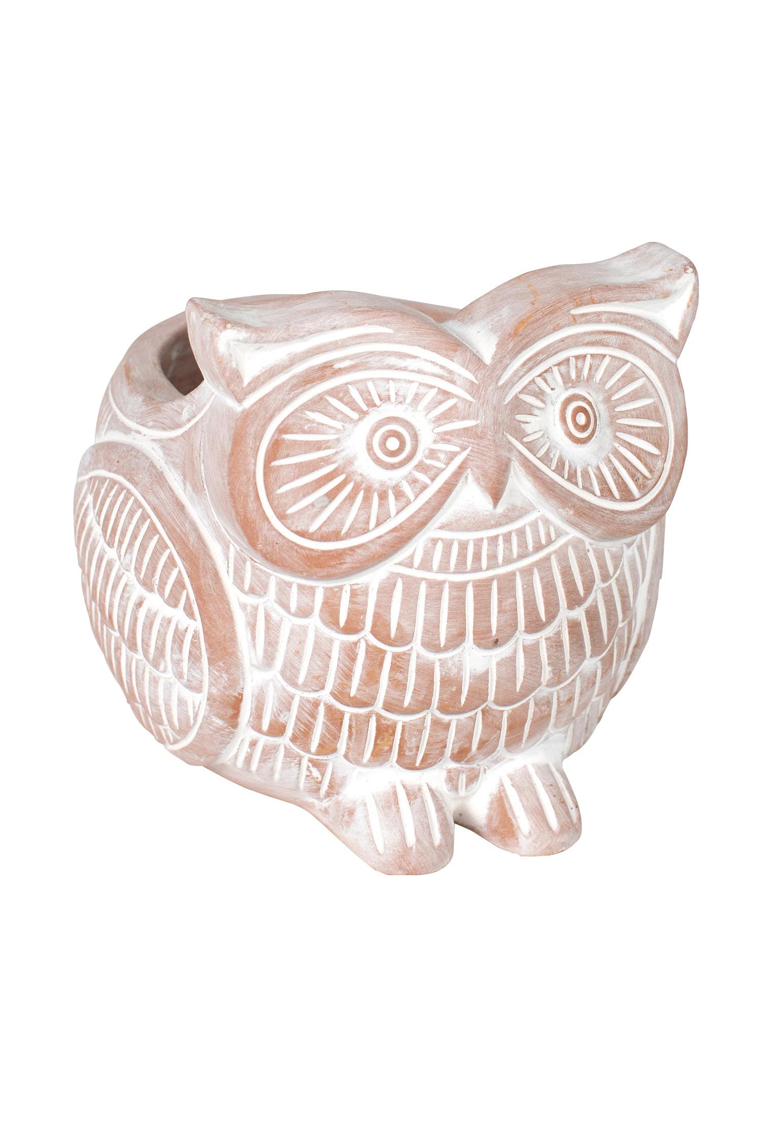 Front view of ceramic owl planter with indoor plants