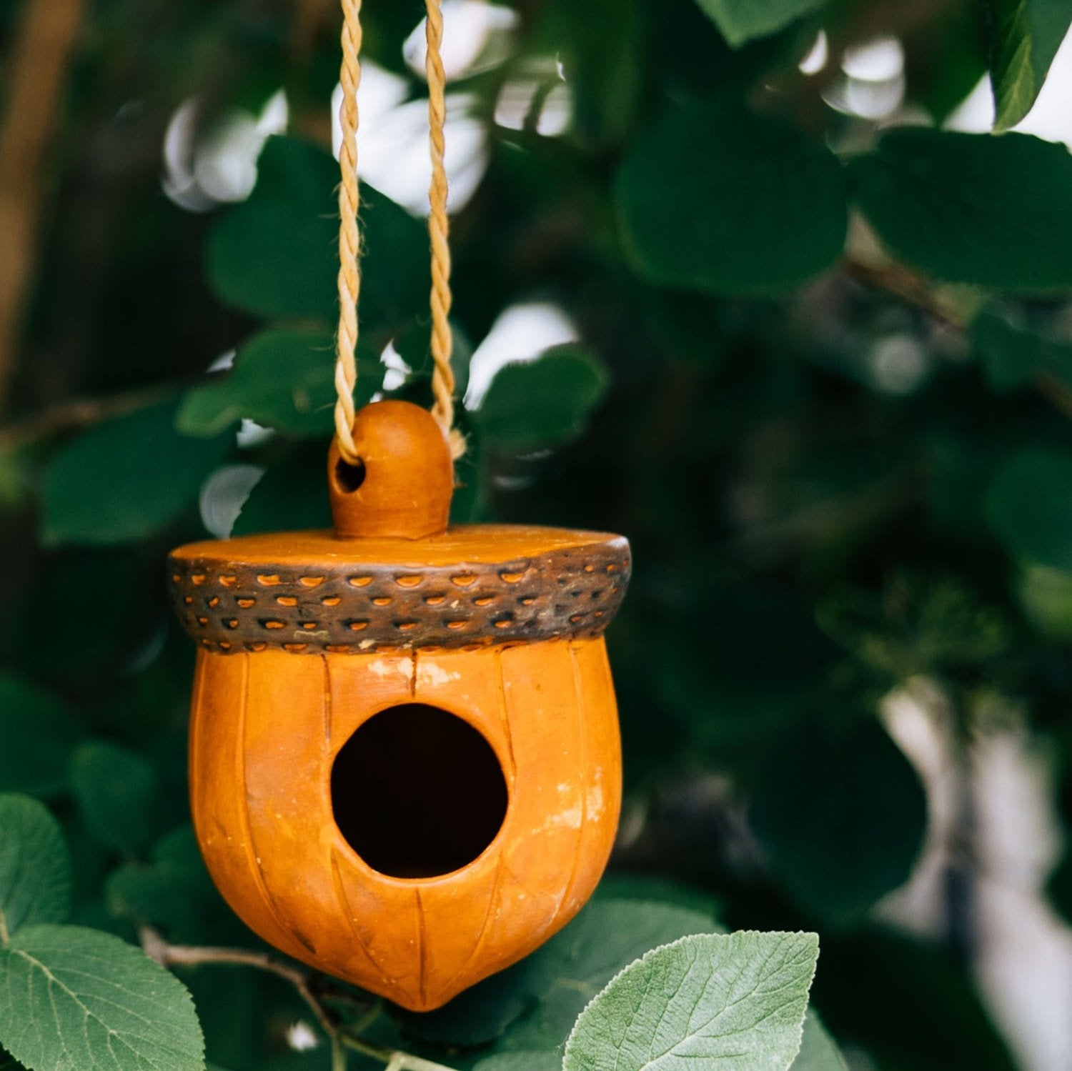 Close-up of acorn-shaped terracotta birdhouse hanging in a leafy garden