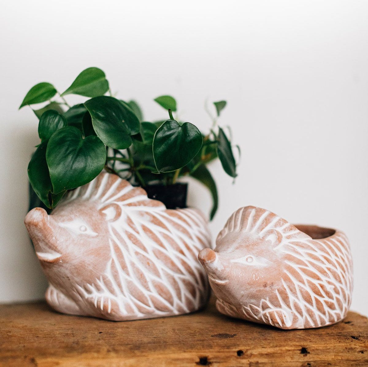 Close-up of handcrafted hedgehog ceramic planter with detailed features