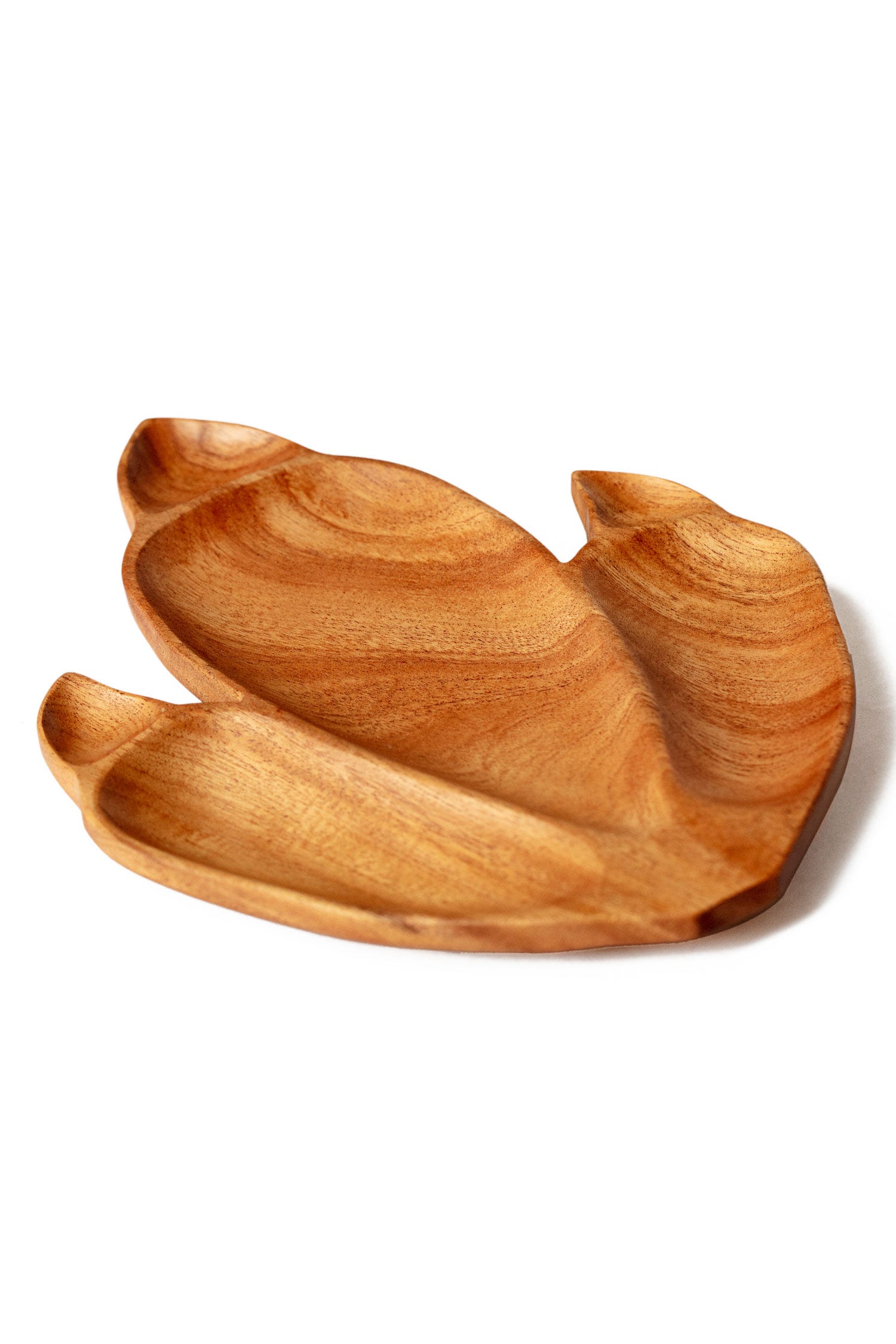 Handcrafted neem wood T-Rex plate showcasing its unique footprint design, perfect for kids' meals.