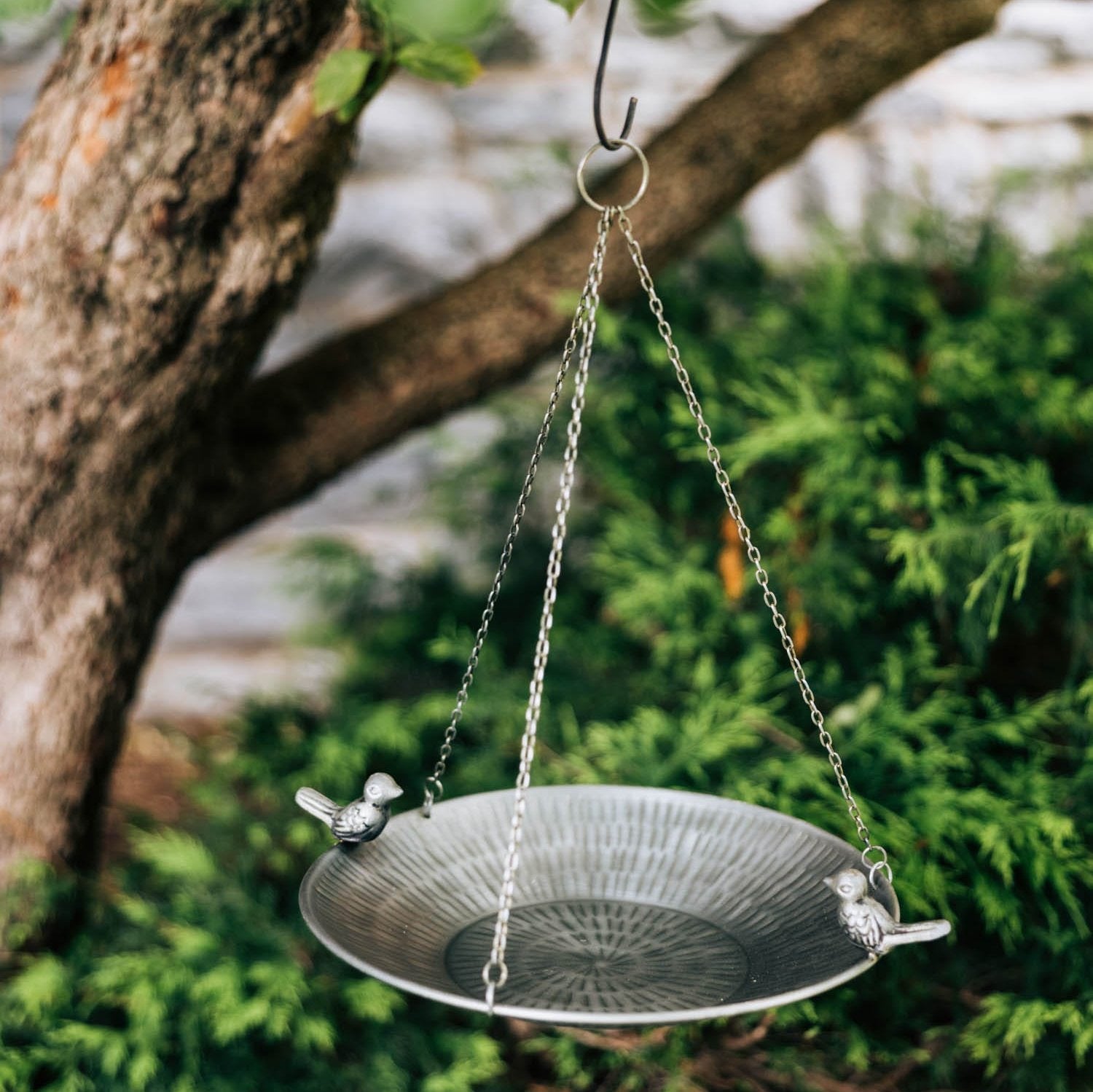 Close-up of Crystal View Bird Feeder showcasing small birds feeding.
