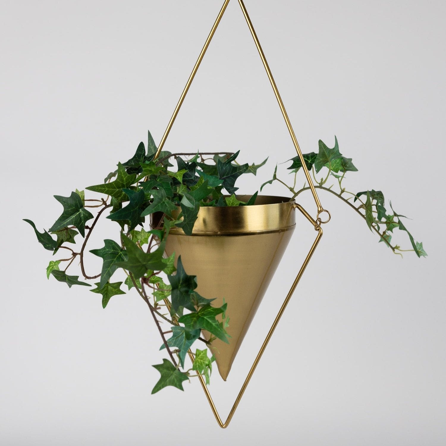 Side view of brass hanging planter displaying trailing indoor plant in natural light