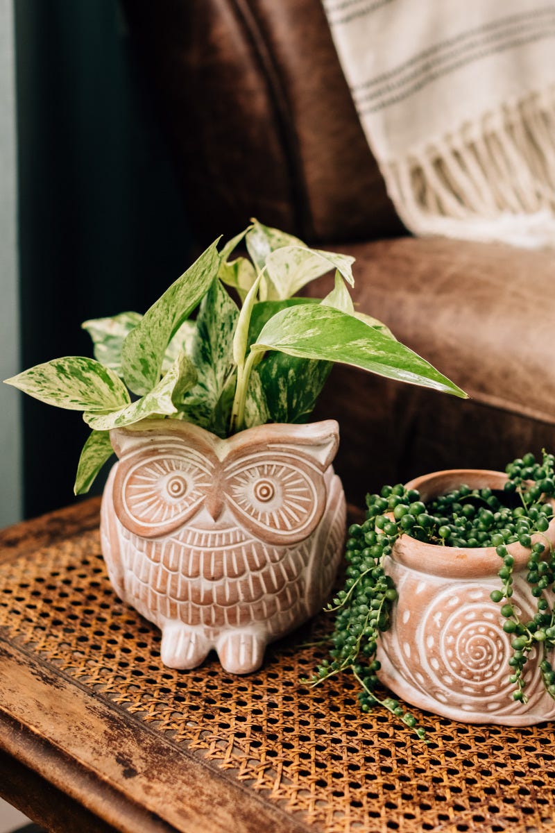 Close-up of handmade ceramic owl planter details